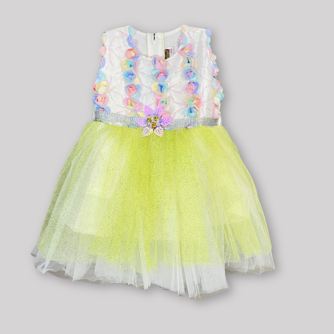 Sleeveless Party Frock
