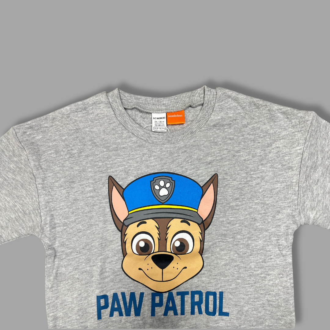 Kids' Paw Patrol Sweatshirt - Grey