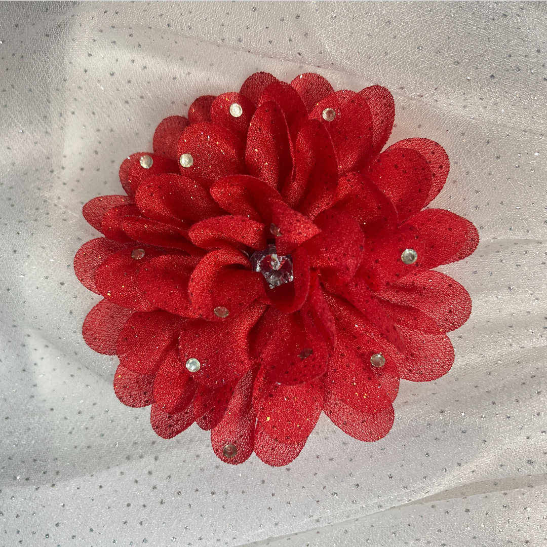 Party Dress for Girls
