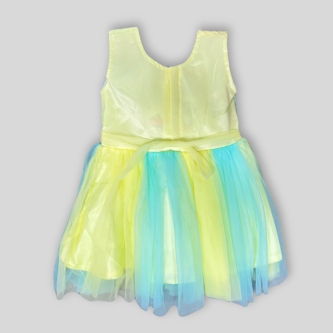 Party Wear Frock