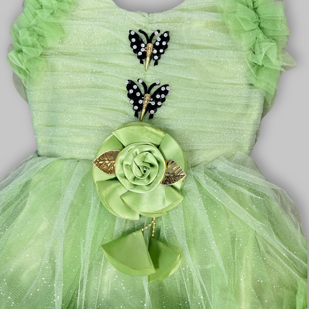 Fancy Frock
