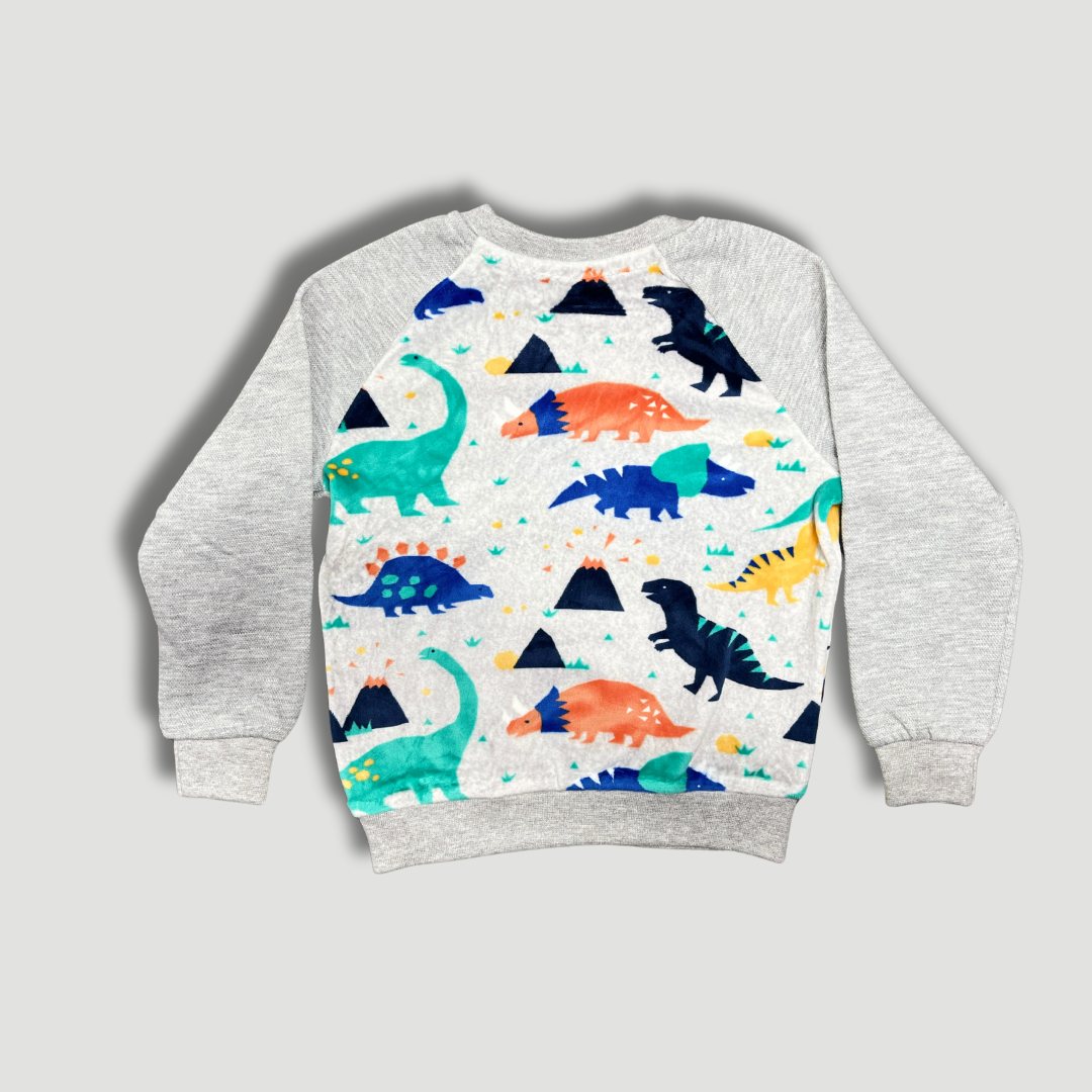 Kids' Dinosaur Print Raglan Sweatshirt