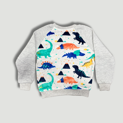 Kids' Dinosaur Print Raglan Sweatshirt