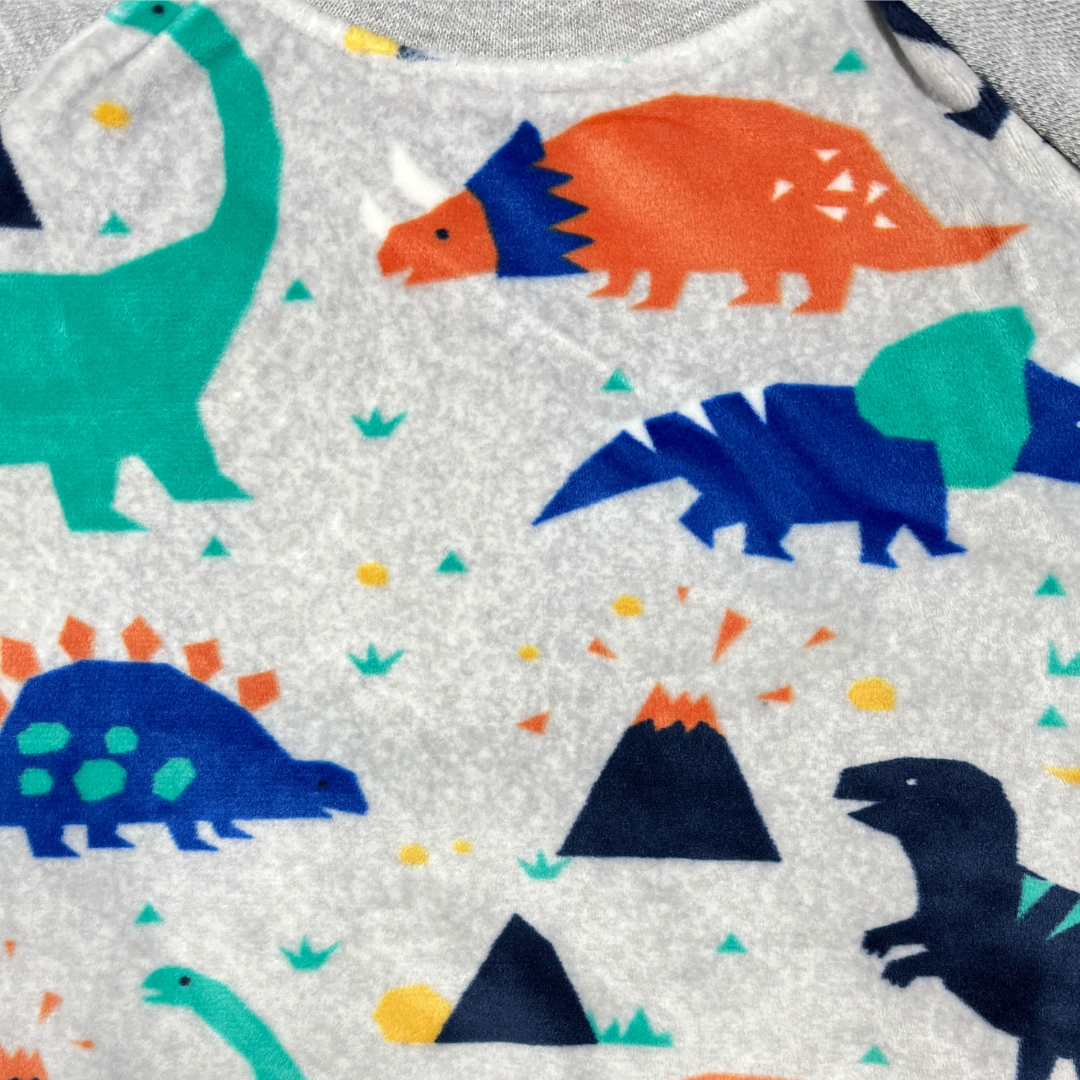 Kids' Dinosaur Print Raglan Sweatshirt