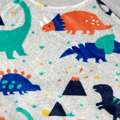 Kids' Dinosaur Print Raglan Sweatshirt