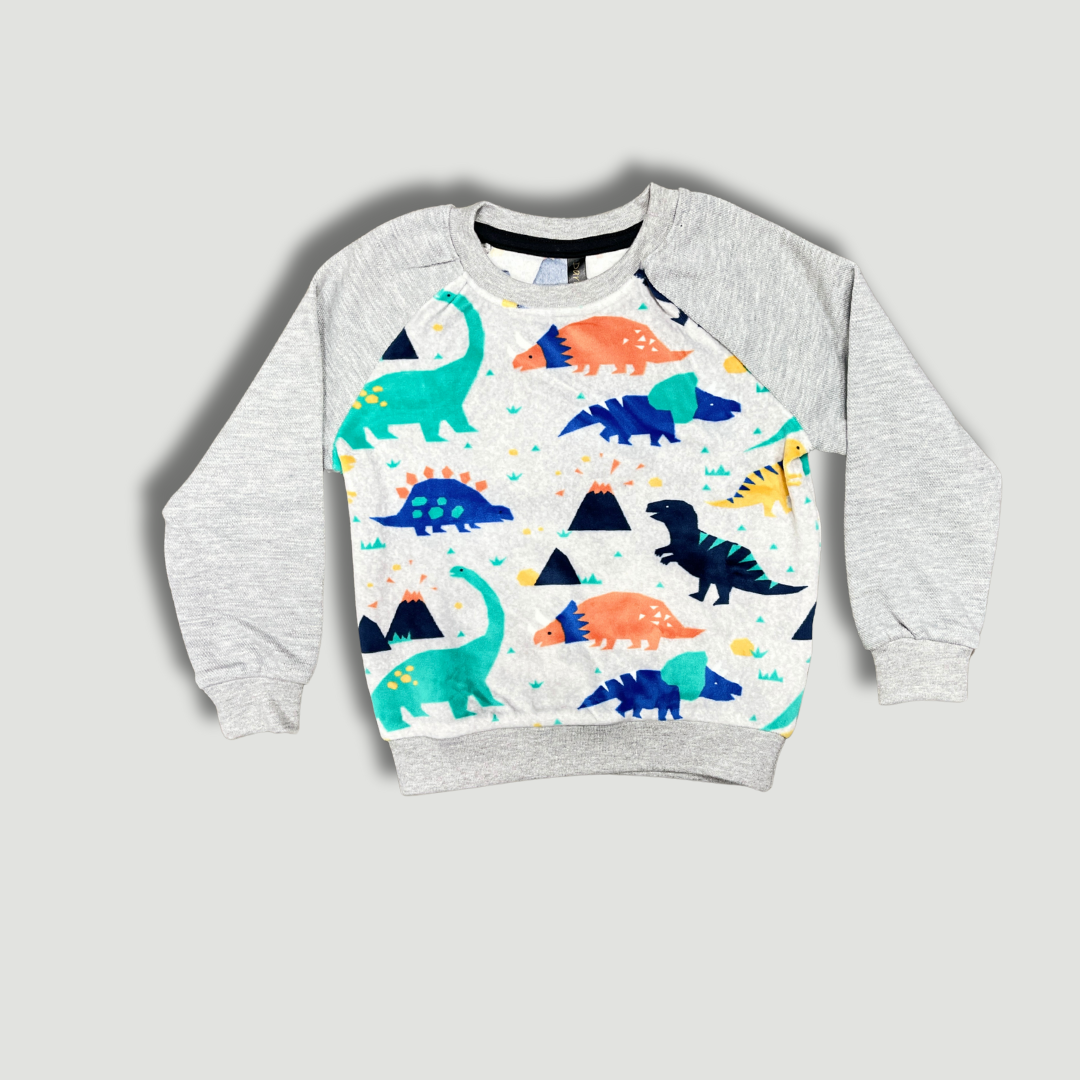 Kids' Dinosaur Print Raglan Sweatshirt
