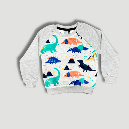 Kids' Dinosaur Print Raglan Sweatshirt
